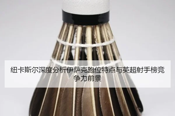 纽卡斯尔深度分析伊萨克跑位特点与英超射手榜竞争力前景 | kaiyun
